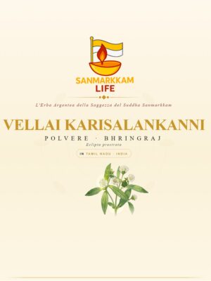 Karisalankanni in polvere, bhringraj (Vellai Karisalankanni, Eclipta prostrata), fronte della confezione Karisalankanni in polvere, bhringraj (Vellai Karisalankanni, Eclipta prostrata), fronte della confezione